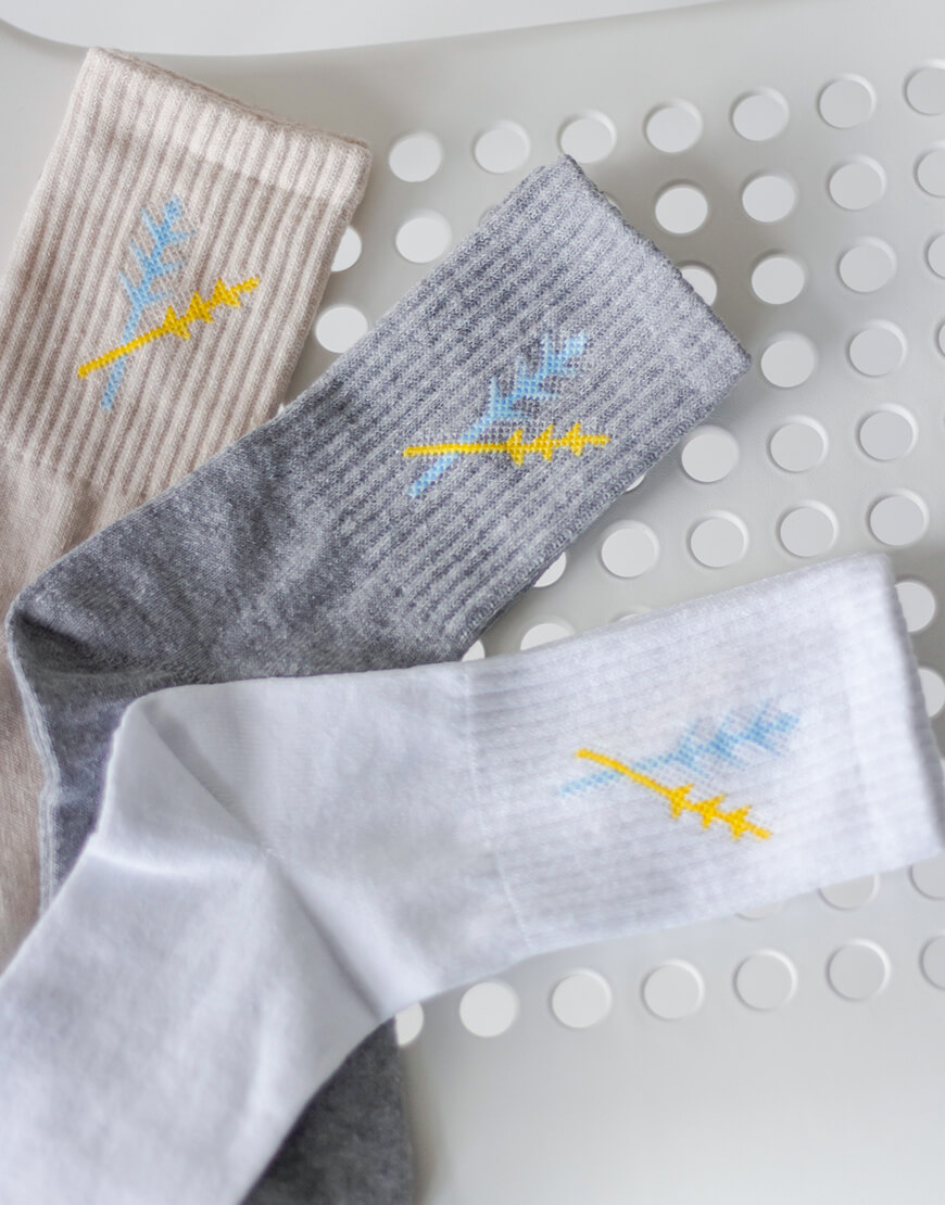 3468-2 Шкарпетки з колосками ANNA YAKOVENKO (AY_3468) - фото 2