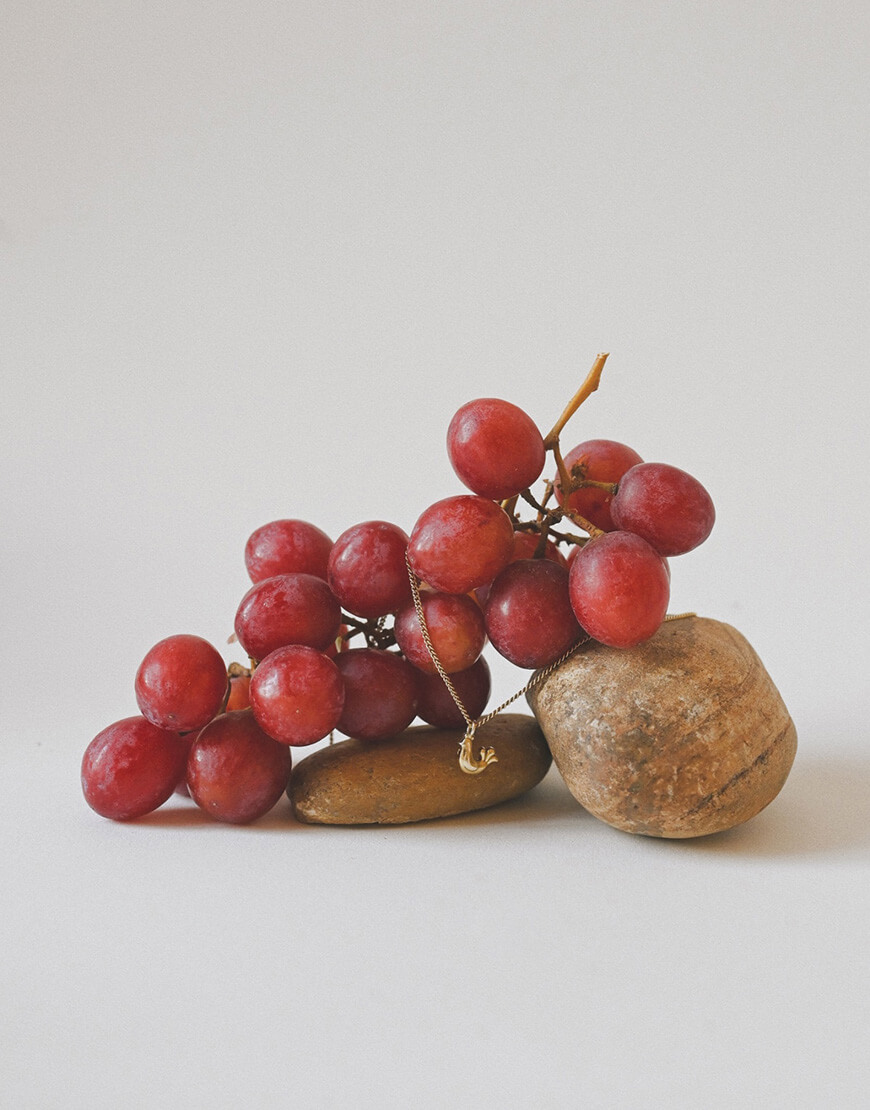 IMG_9276 Підвіс Ptashka на ланцюжку gold NYNI (NN-094-014-01) - фото 2