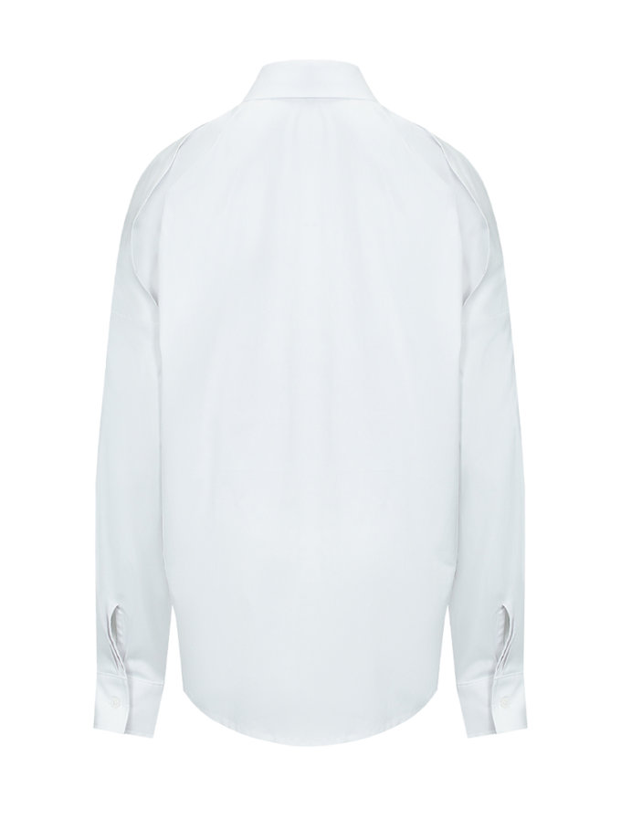 Сорочка Remote Work ANIELE STROZ (AS_SS25SH02)