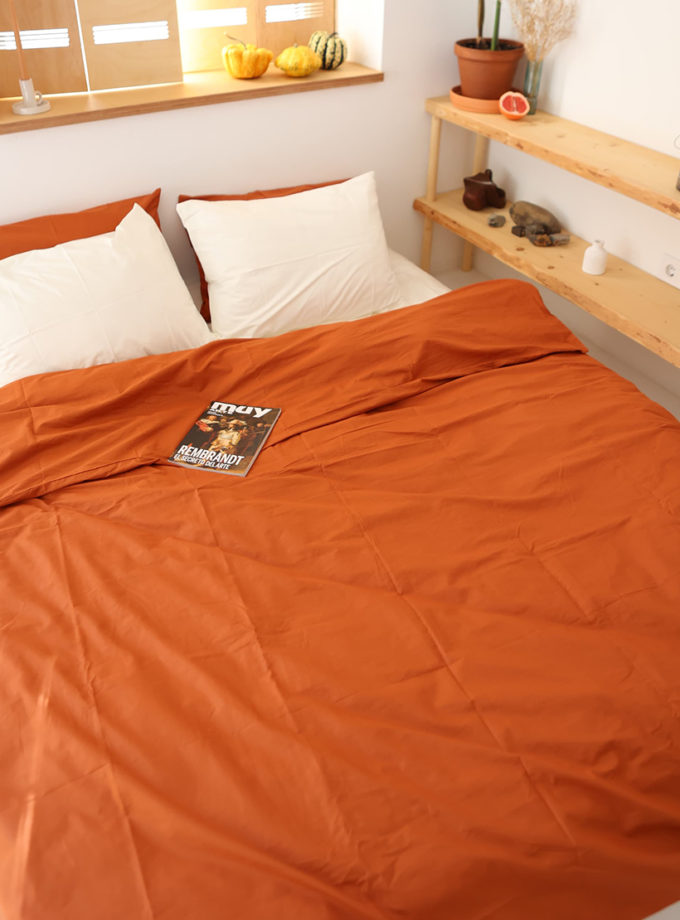 Комплект постільної білизни Ранфорс теракотовий+молочний №122+2 BEDCLOZZZES (BEDCLZ_13825)