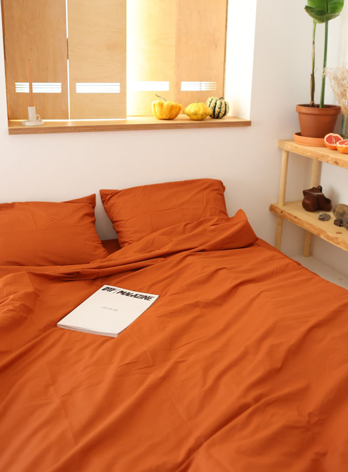 Комплект постільної білизни Теракотовий ранфорс №122 BEDCLOZZZES (BEDCLZ_13832)