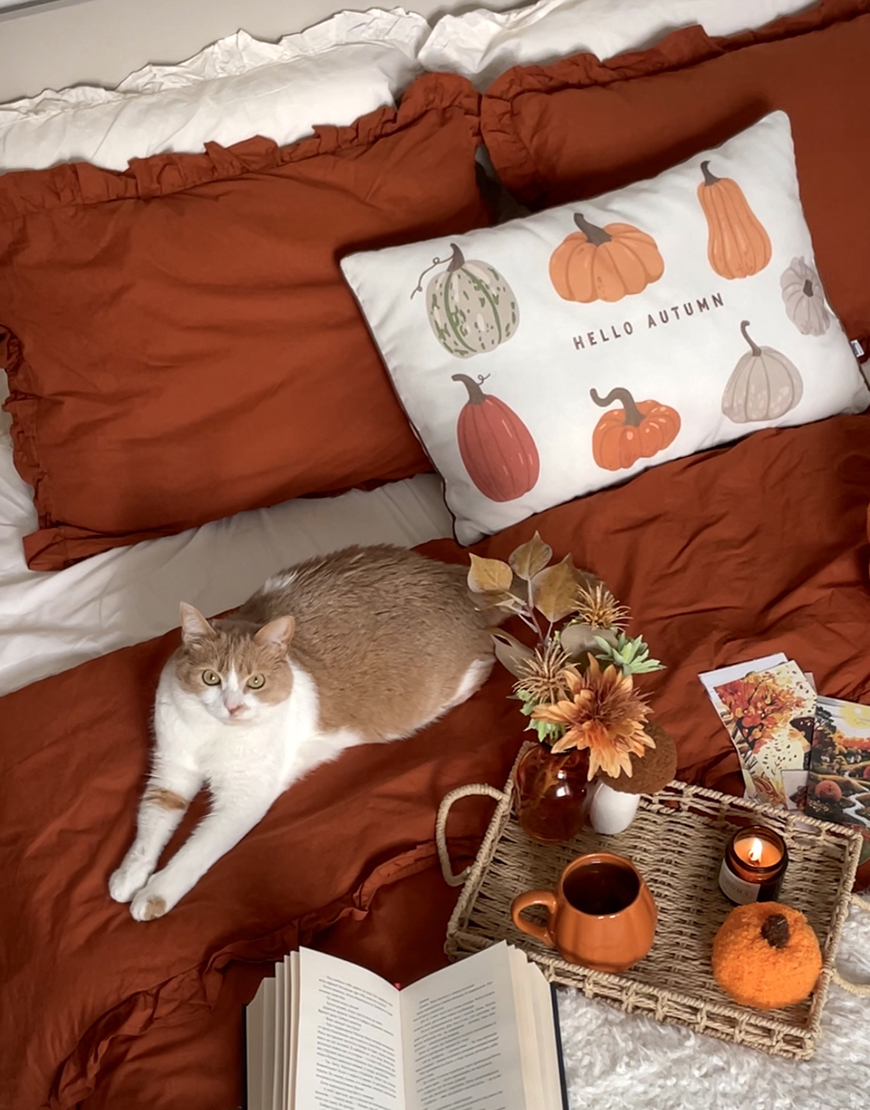 terracot (2) Комплект постільної білизни теракотовий+молочний ранфорс з рюшами BEDCLOZZZES (BEDCLZ_3921-1-2-3-1-1-1-3) - фото 3