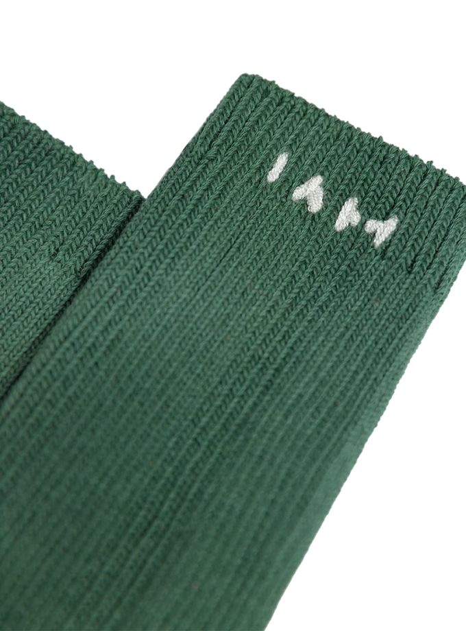 Бавовняні шкарпетки Dzvinka IAM (IM_CTTN/SCKS/DZVNK)