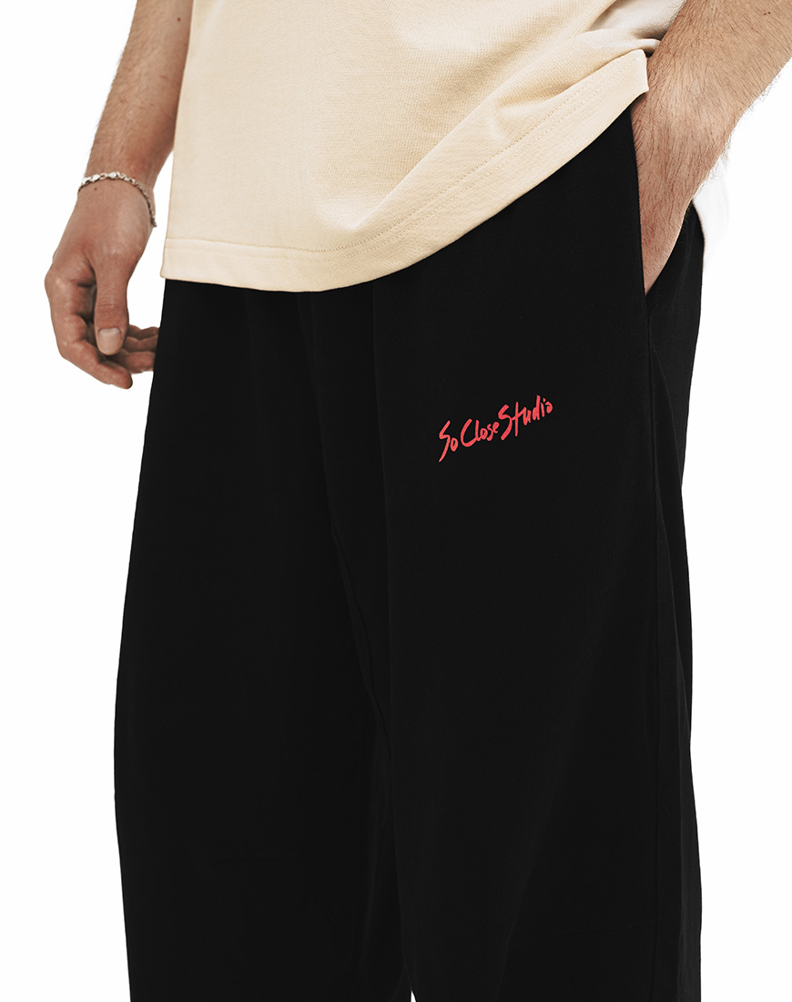 251A8211 jpg Штани чоловічі SO CLOSE (SC_2025_18) - фото 2